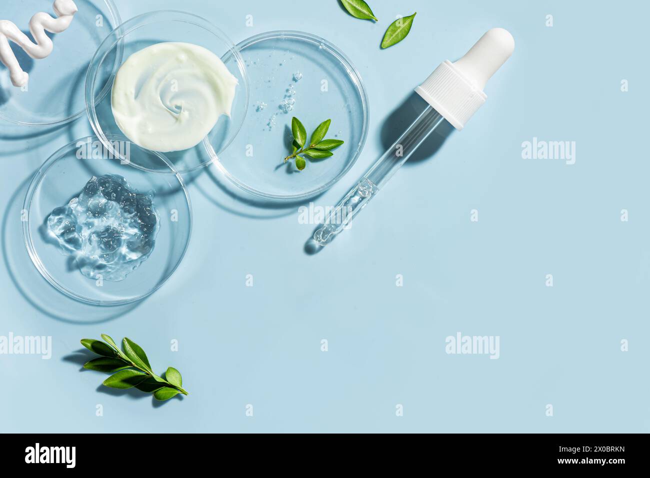 Produits naturels de soins de la peau swatches dans une boîte de Petri avec compte-gouttes et plantes vertes sur fond bleu, espace de copie. ECO beauté, laboratoire cosmétique à base de plantes Banque D'Images