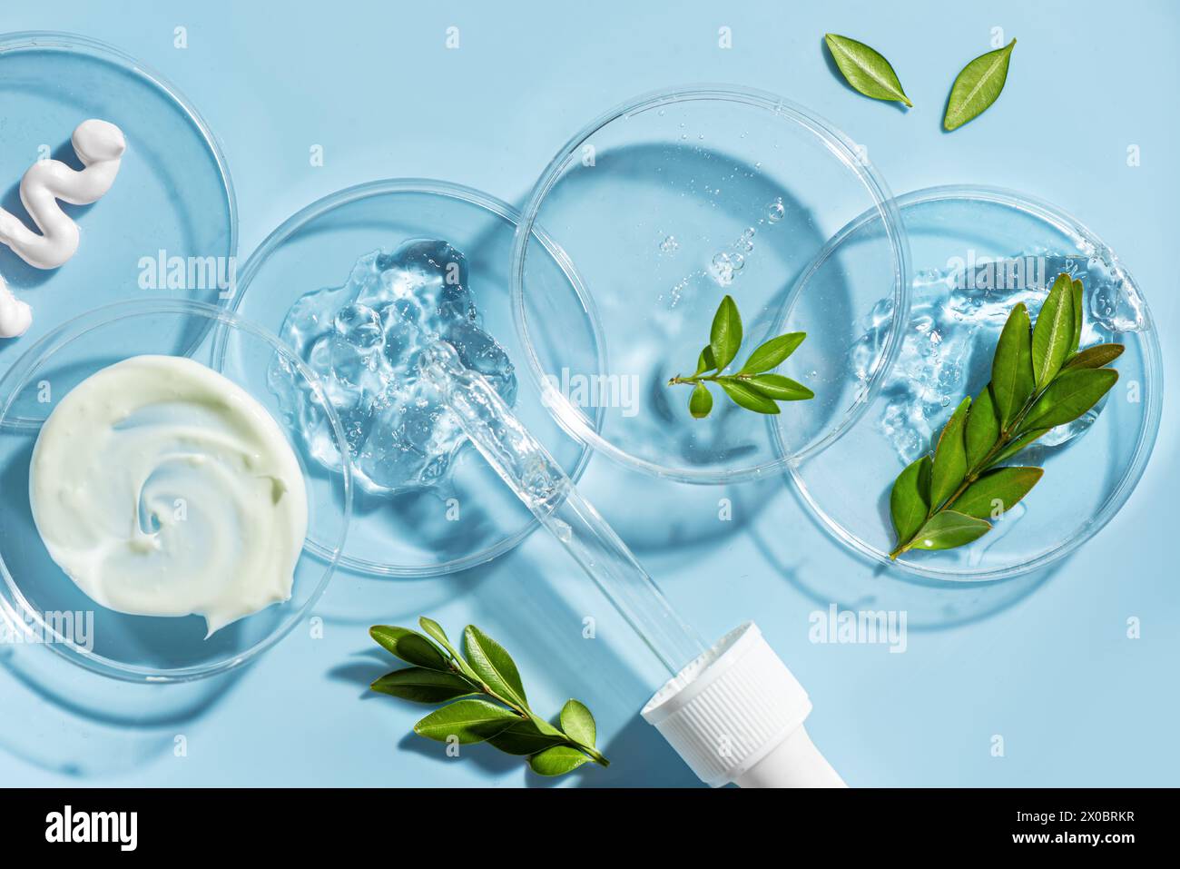 Produits naturels de soins de la peau swatches dans une boîte de Petri avec compte-gouttes et plantes vertes sur fond bleu. ECO beauté, recherche de laboratoire cosmétique à base de plantes et Banque D'Images