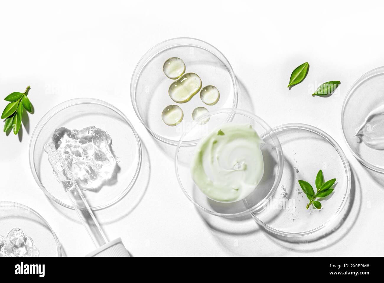 Produits naturels de soins de la peau tampons dans une boîte de Petri avec compte-gouttes et plantes vertes isolées sur fond blanc. Composition tendance de produit de beauté Wit Banque D'Images