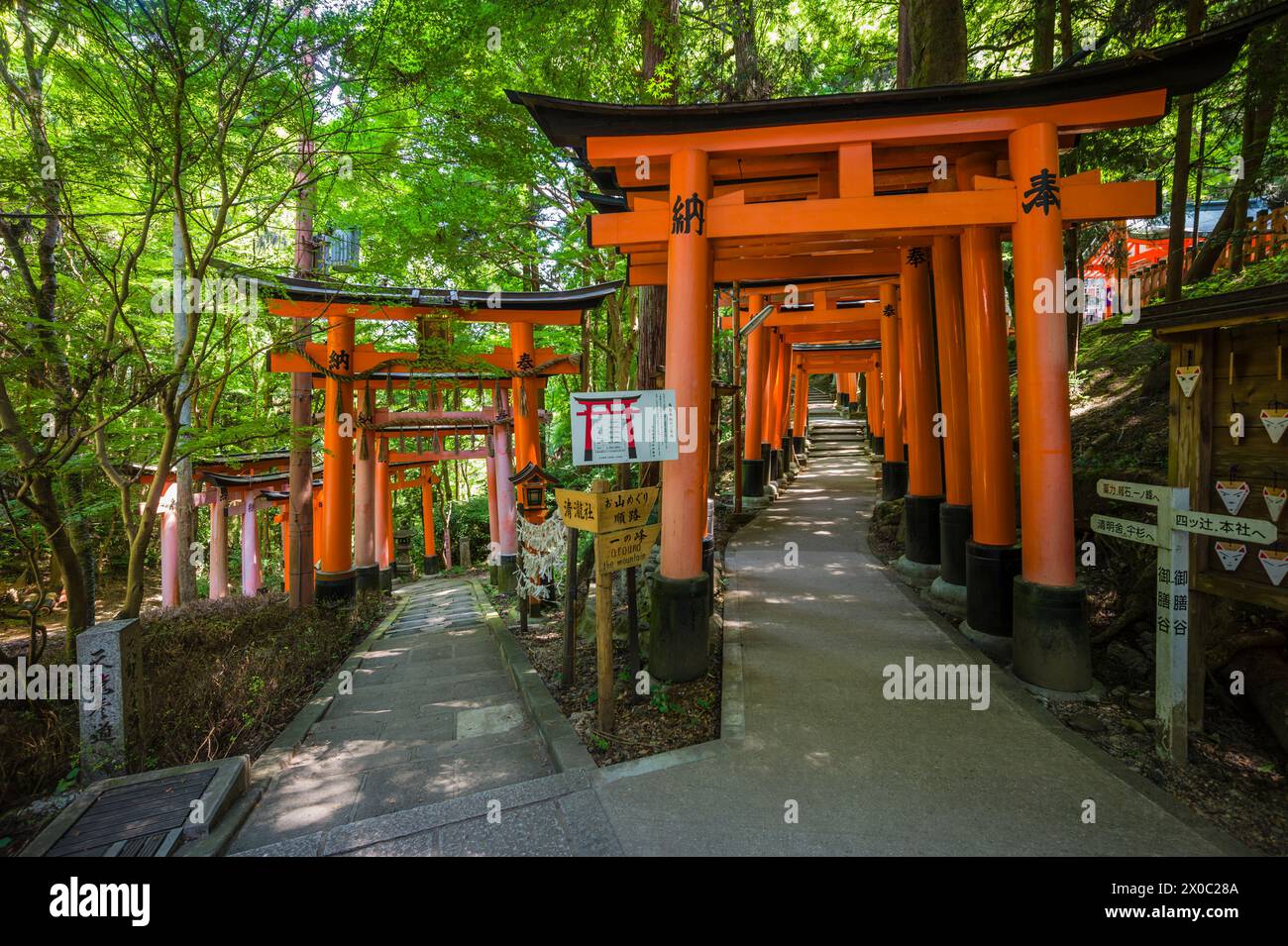 Fushimi Inari-taisha Fushimi-ku, Kyoto, Japon. Banque D'Images