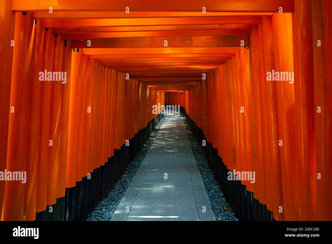 Fushimi Inari-taisha Fushimi-ku, Kyoto, Japon. Banque D'Images