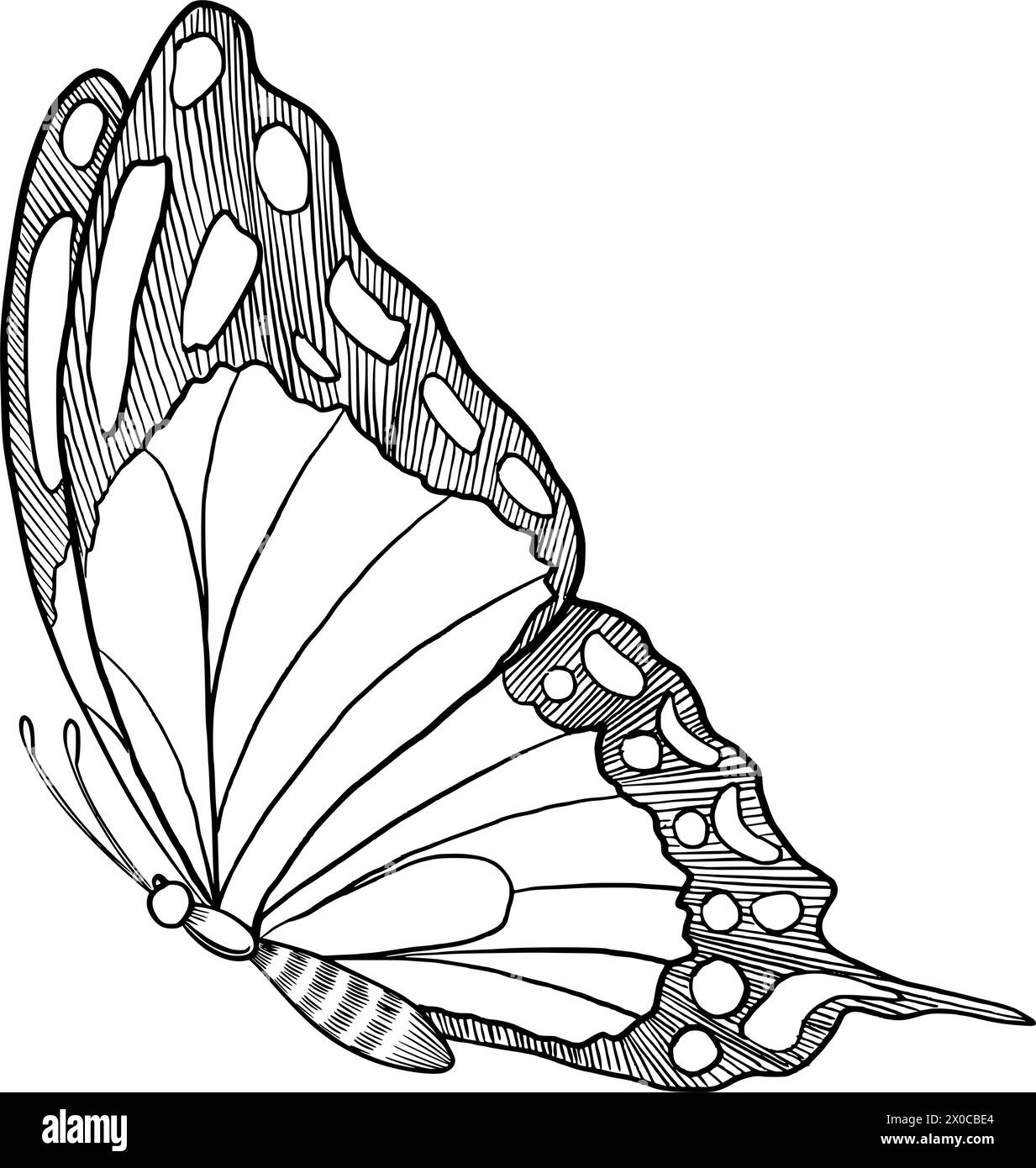 Illustration vectorielle papillon Machaon. Dessin d'insecte avec des ailes peintes à l'encre noire. Croquis dessiné à la main de papillon volant pour des invitations de mariage ou des cartes postales. Gravure vintage pour icône ou logo. Illustration de Vecteur