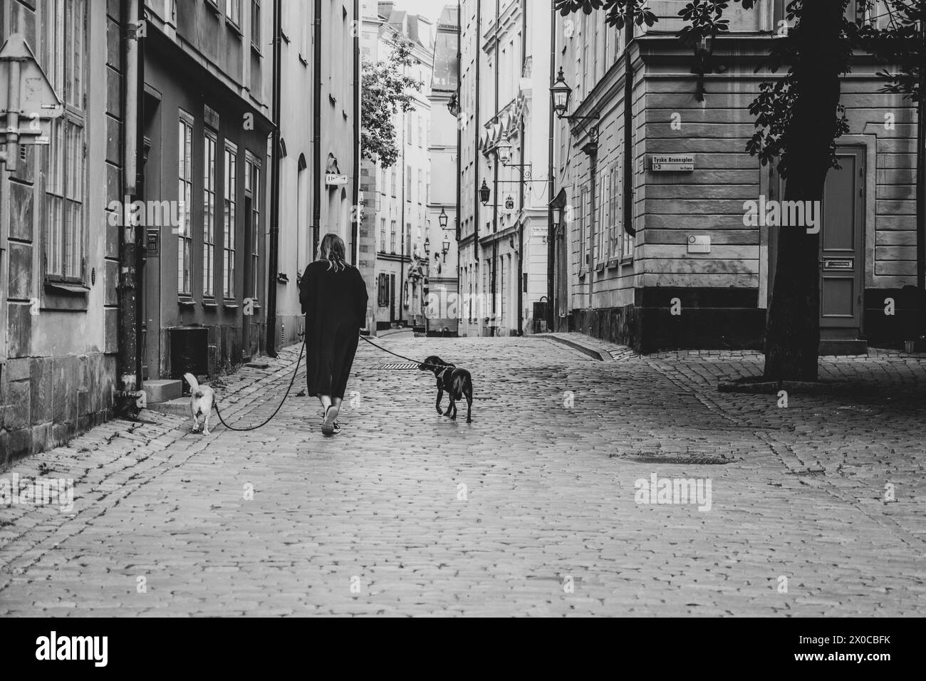 Une femme se promène avec deux chiens le long des rues pavées historiques de Gamla Stan, Stockholm, mettant en valeur le charme du vieux quartier de la ville. Photographie noir et blanc. Banque D'Images