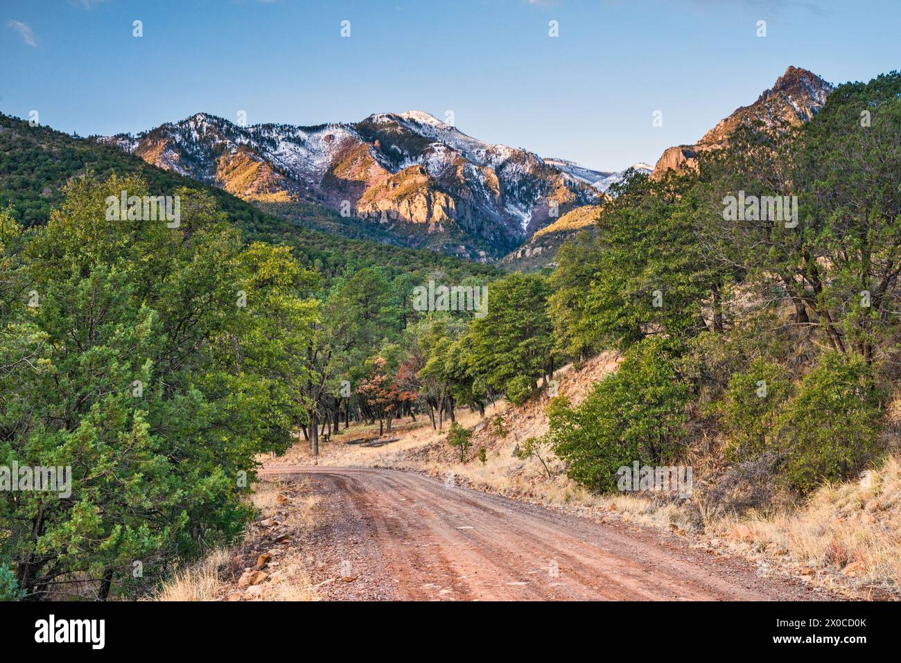 Massif de Chiricahua Peak, Herb Martyr Road, neige au début du printemps, montagnes Chiricahua, forêt nationale de Coronado, près de Portal, Arizona, ÉTATS-UNIS Banque D'Images