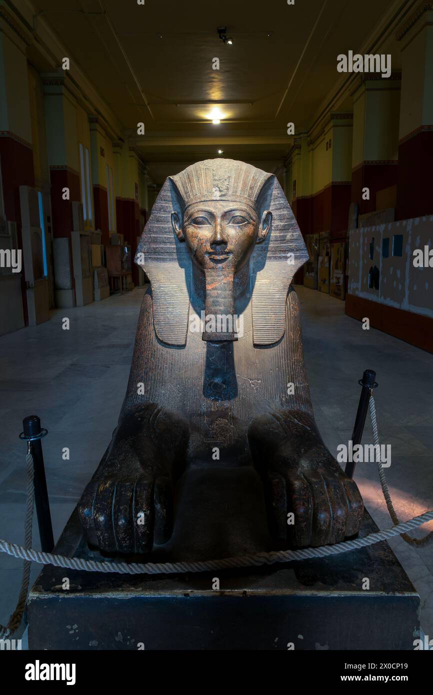 sphynx en pierre noire dans l'ancien Musée égyptien du Caire, Egypte Banque D'Images