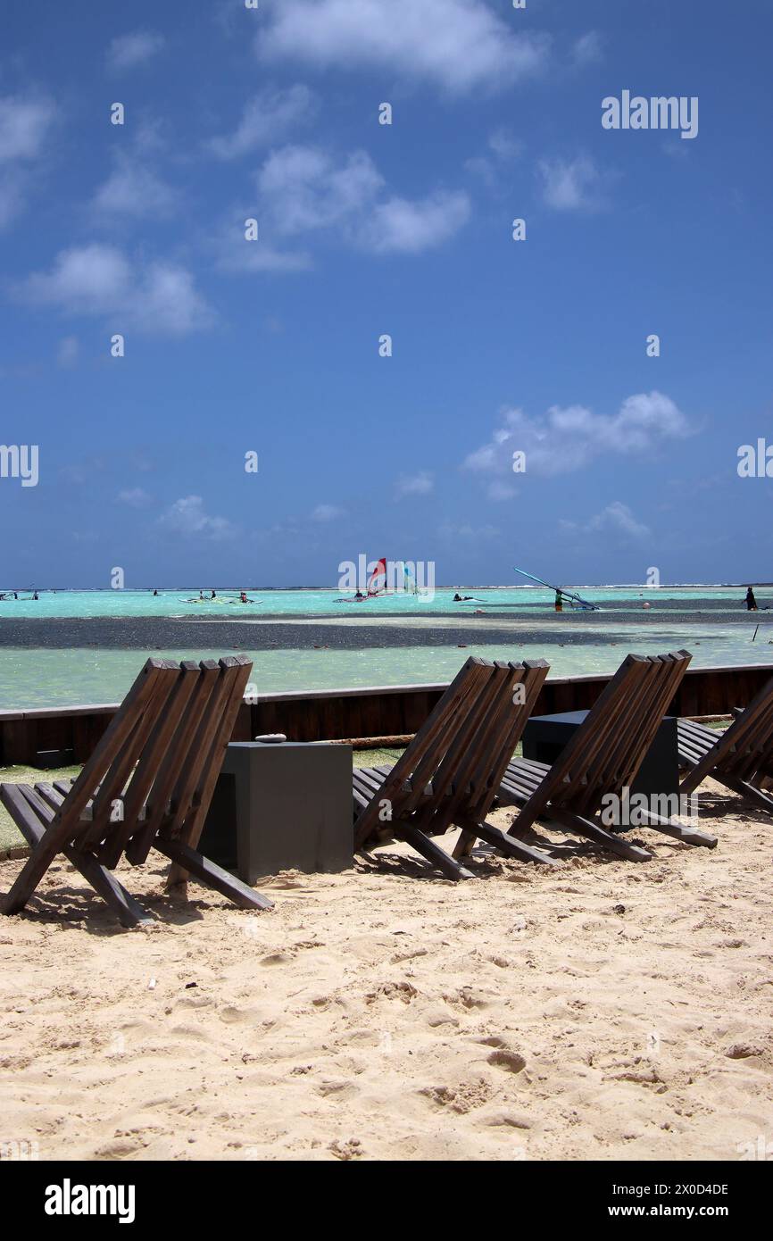Transats à Caribbean Beach avec windsurfers au loin, Sorobon Beach, Bonaire, Caraïbes pays-Bas Banque D'Images