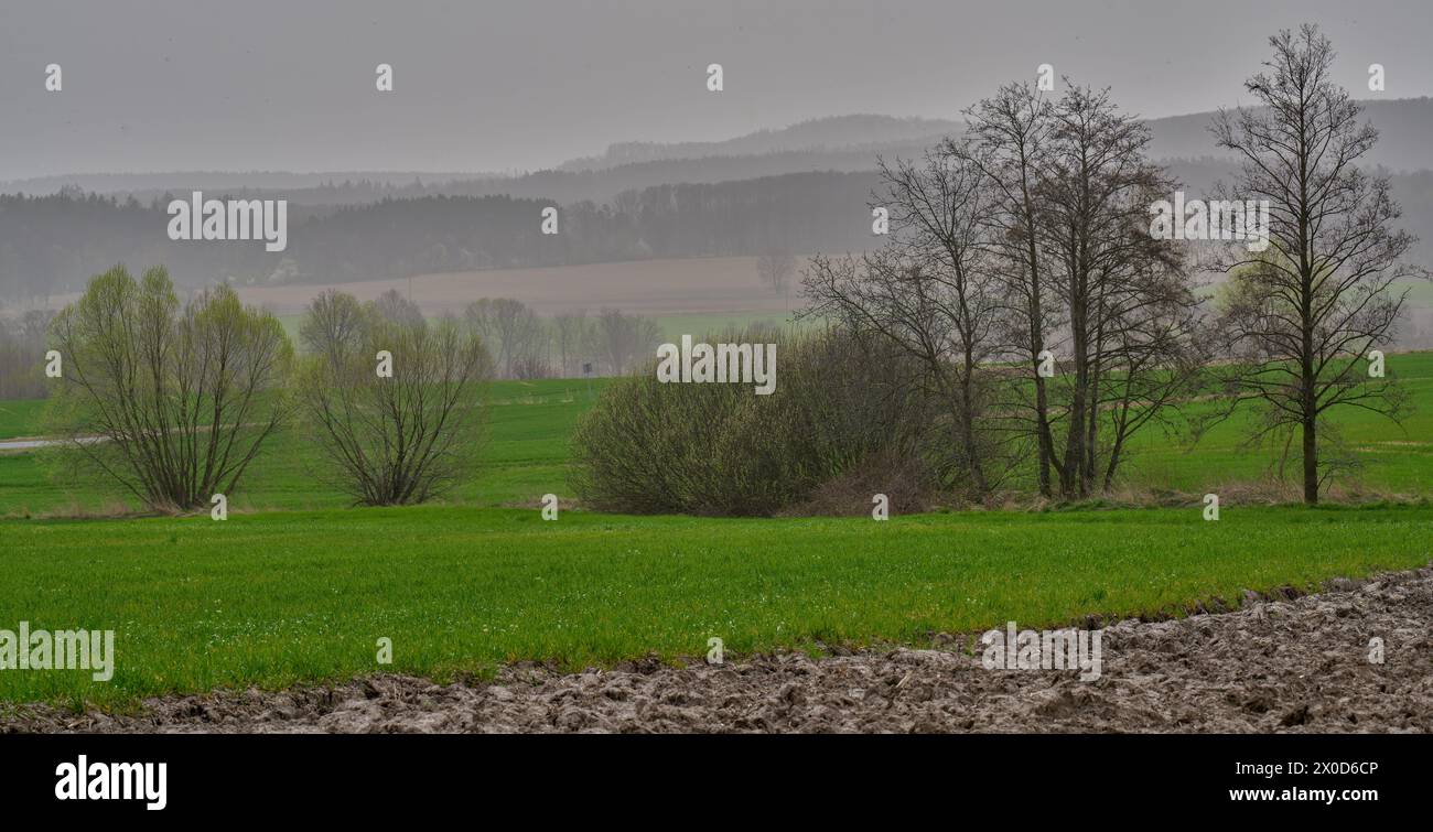 Paysage rural de basse Silésie Pologne au début du printemps Banque D'Images