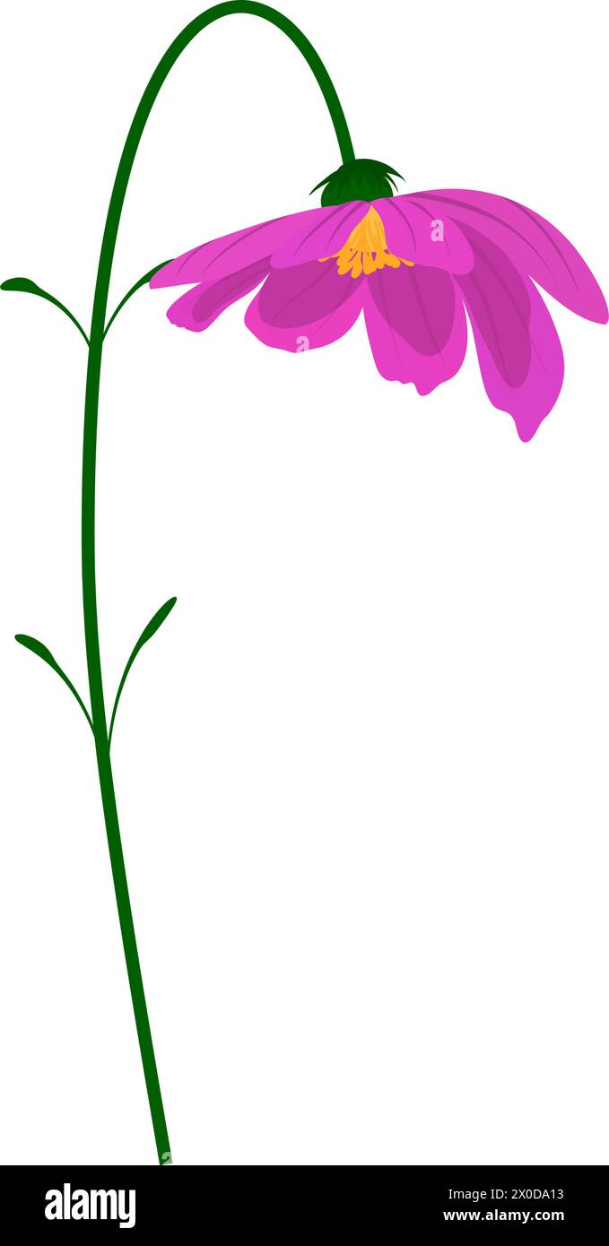 Fleur de prairie. Belle fleur pour faire des dessins de prairie d'été et de printemps. Illustration vectorielle. Illustration de Vecteur