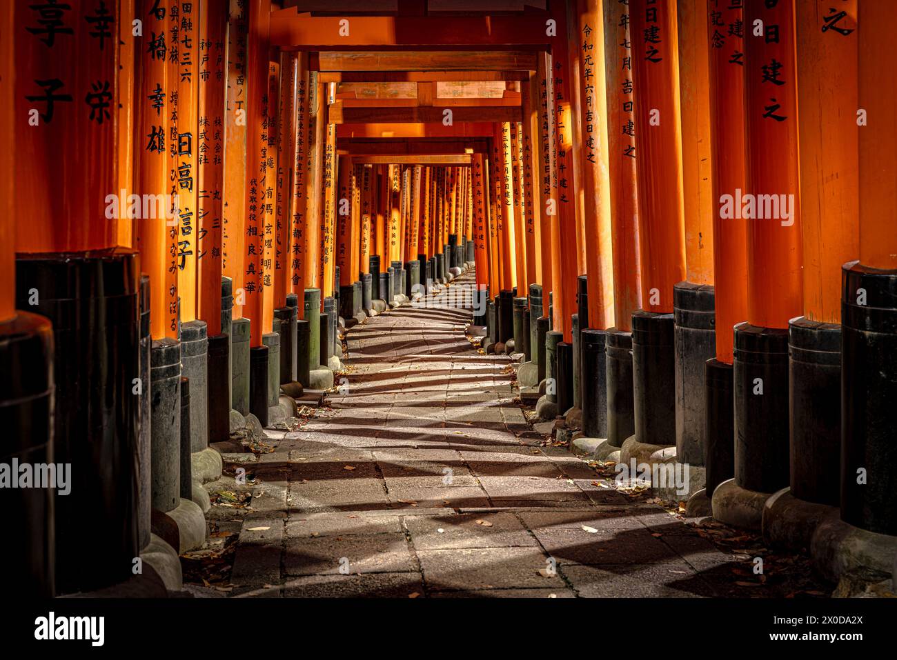 Chemin Fushimi Inari Taisha à travers les portes torii vibrantes d'un sanctuaire shinto au japon Banque D'Images