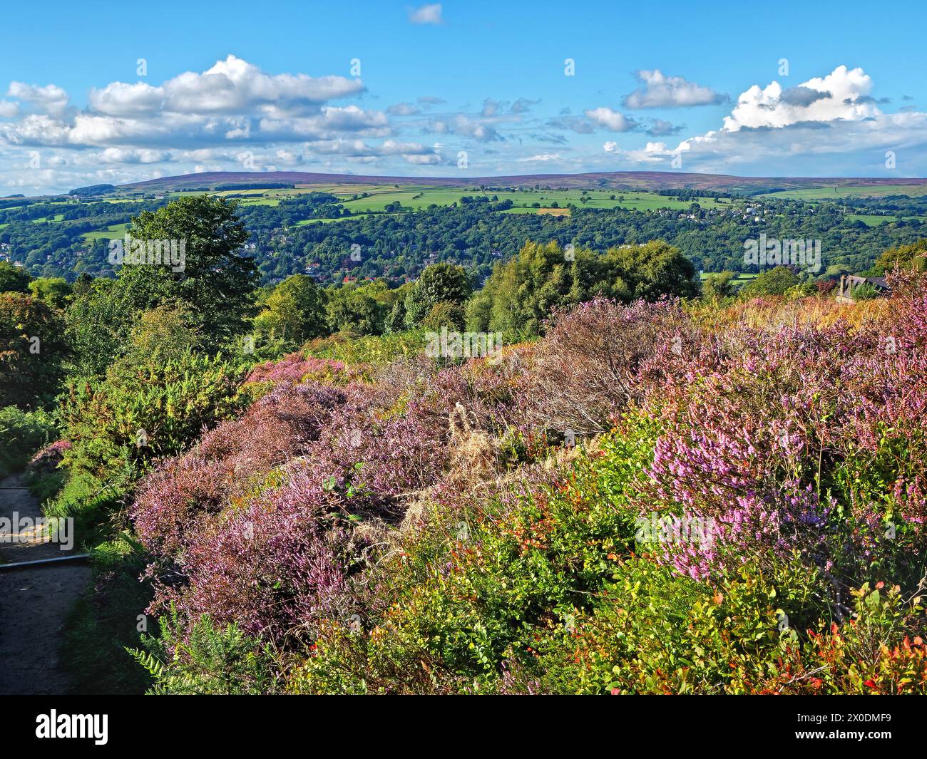 Royaume-Uni, West Yorkshire, Ilkley, Ilkley Moor regardant le nord. Banque D'Images