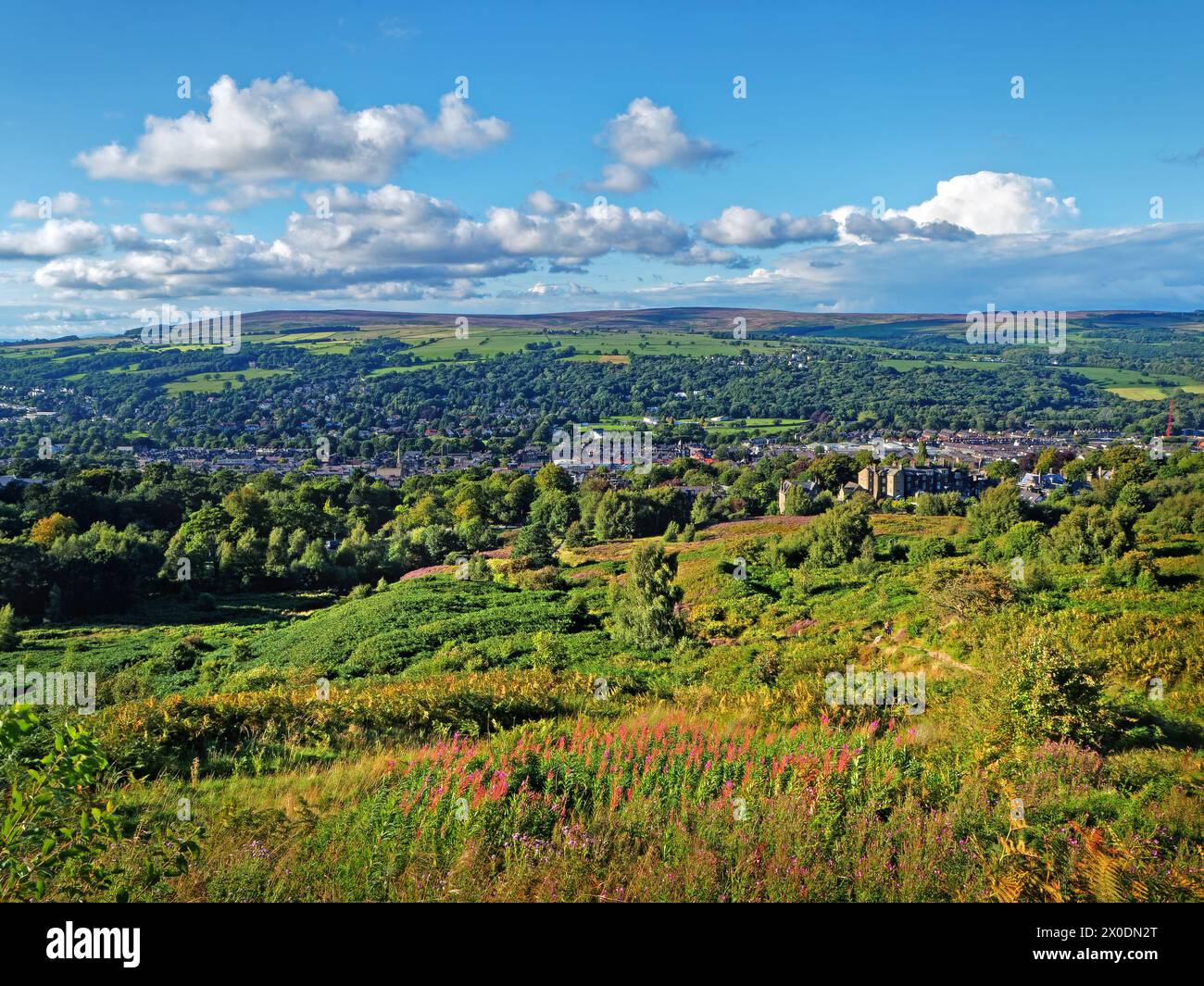 Royaume-Uni, West Yorkshire, Ilkley, Ilkley Moor regardant le nord. Banque D'Images