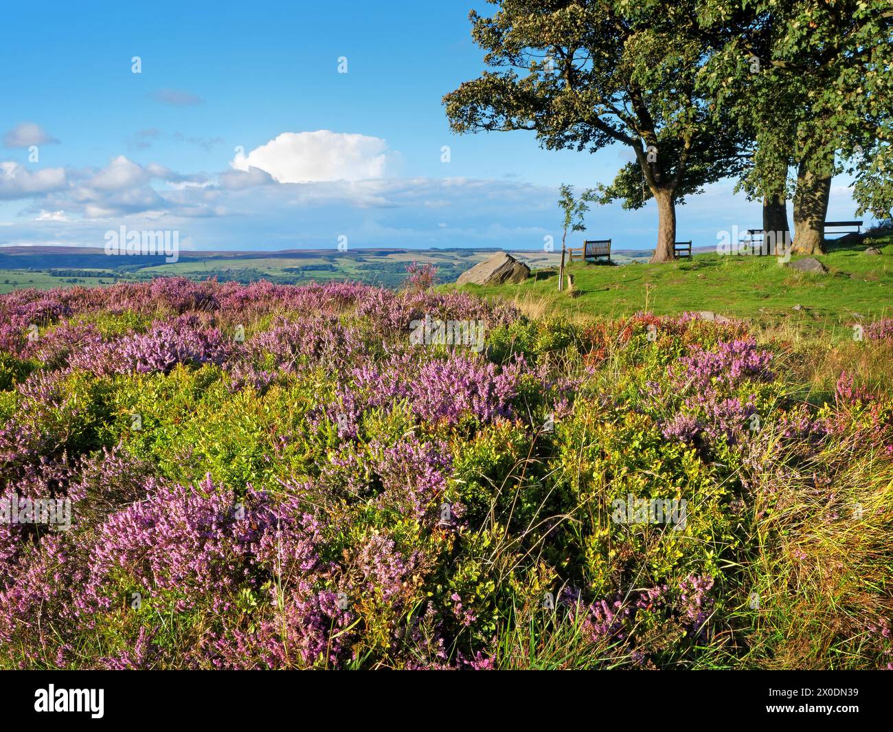 Royaume-Uni, West Yorkshire, Ilkley, Ilkley Moor, point de vue près de White Wells. Banque D'Images