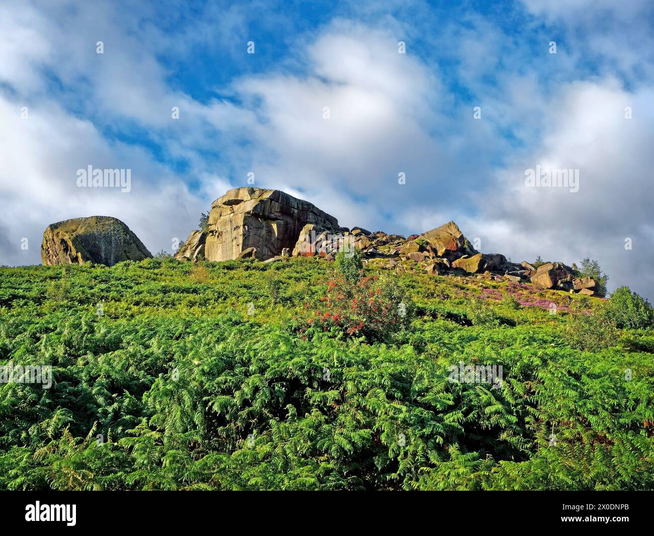 UK, West Yorkshire, Ilkley, Ilkley Moor Cow et Calf Rocks. Banque D'Images