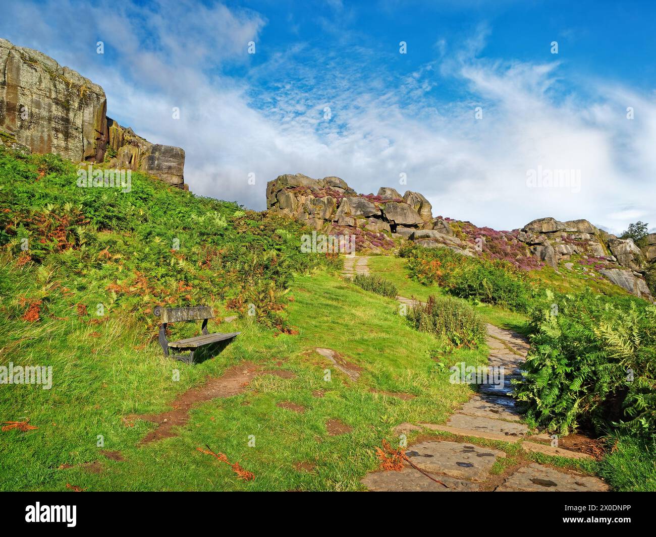 Royaume-Uni, West Yorkshire, Ilkley, Ilkley Moor, sentier menant à Ilkley Quarry. Banque D'Images