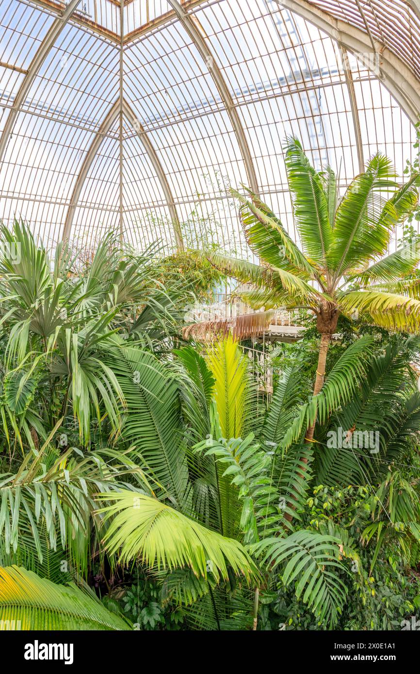 Kew, Richmond, Royaume-Uni ; 11 avril 2024 - The Palm House est une grande serre dans les jardins botaniques royaux de Kew, à Londres. Il a été achevé en 1848. Banque D'Images