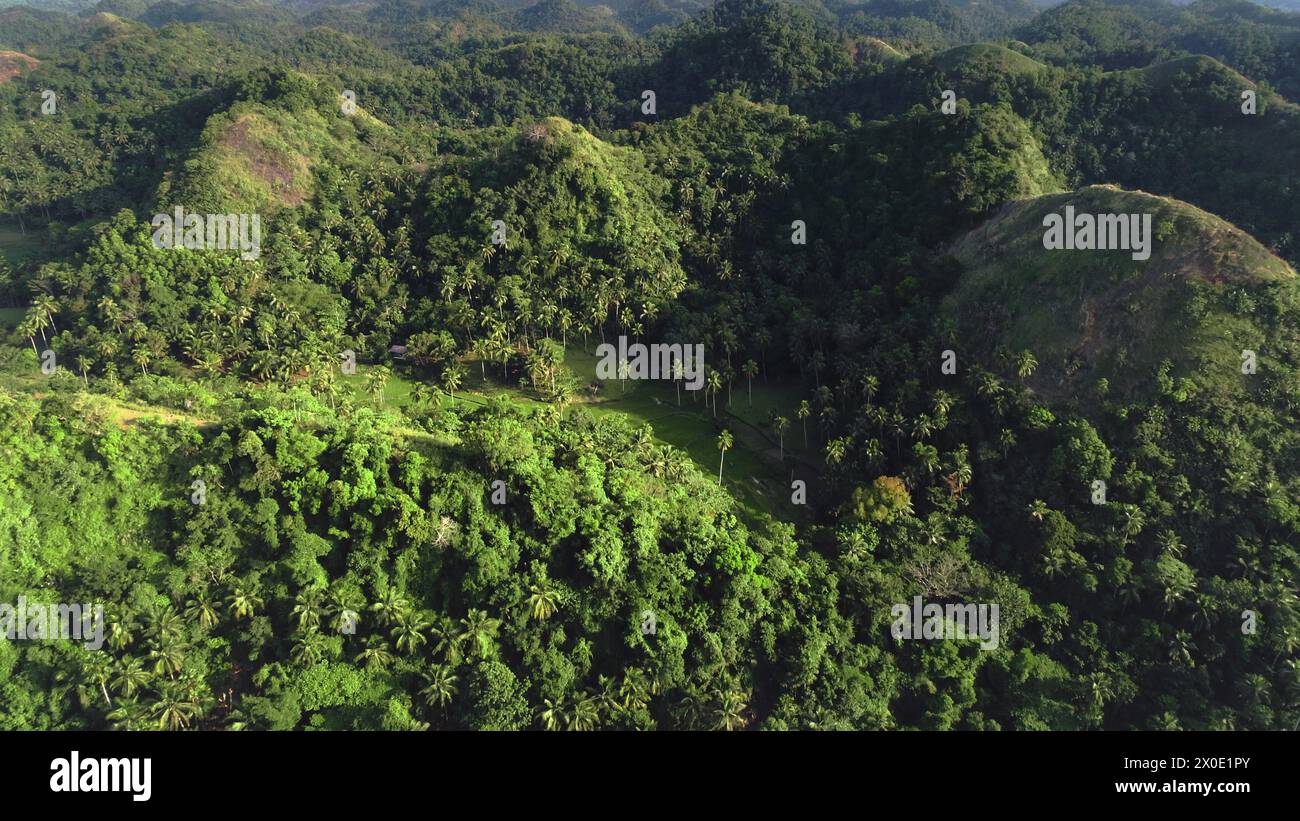 Vue aérienne des chaînes de collines de la jungle avec de hauts arbres, des plantes, des herbes. Faune majestueuse personne nature de l'Asie tropicale. Greenery Filipino atterrit et monte dans un drone cinématographique Banque D'Images