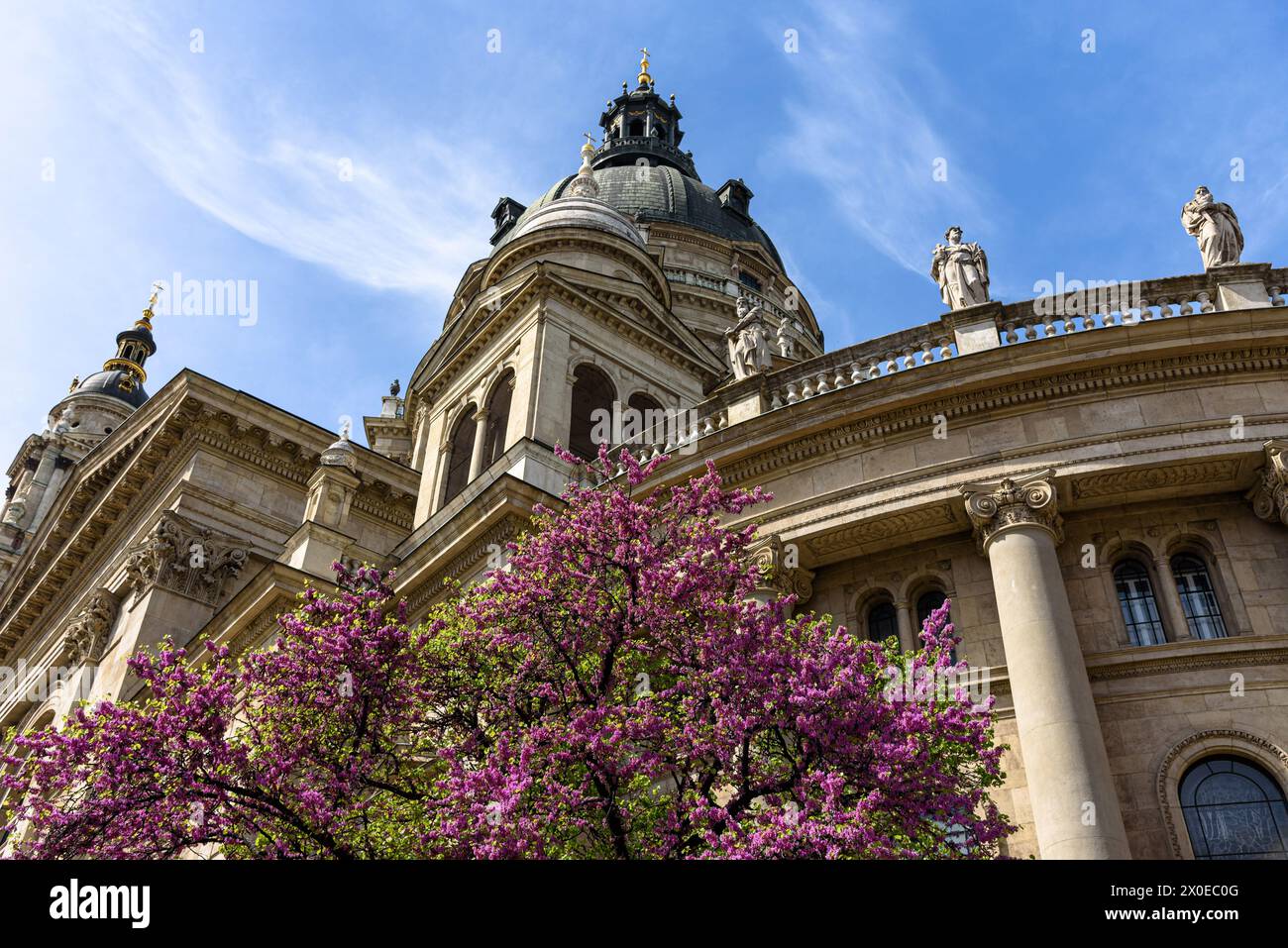 Basilique Saint-Étienne au printemps avec un arbre à fleurs Banque D'Images