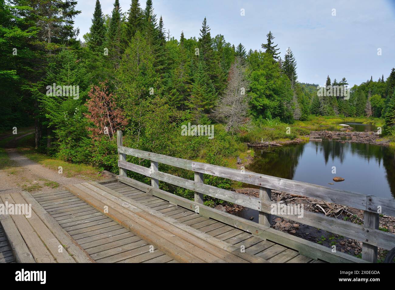 Pont en bois et rail avec lac d'eau douce calme et arbres de la forêt boréale. Banque D'Images