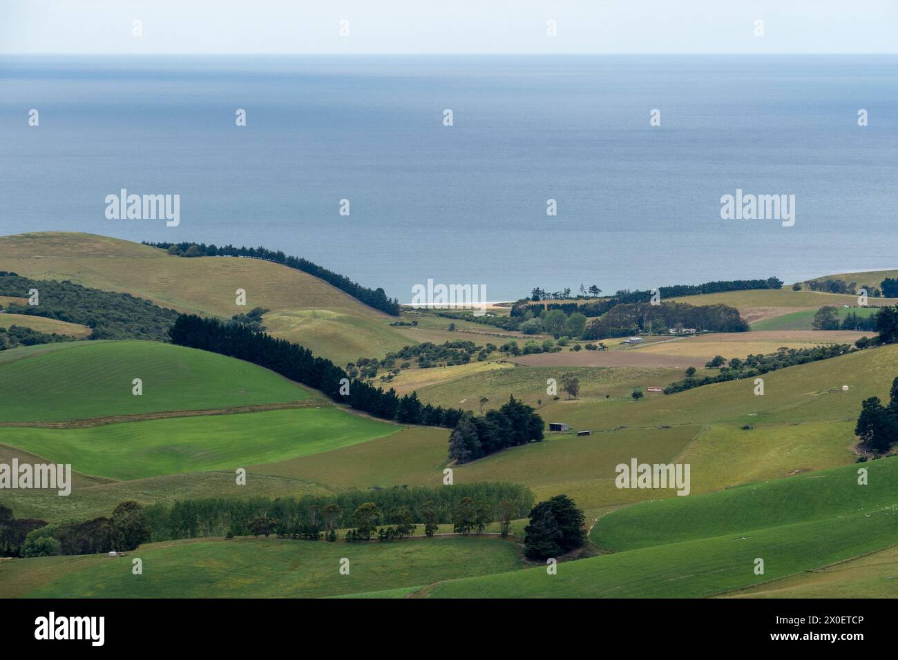 Nouvelle-Zélande : vue sur la réserve de Tavora, qui abrite le manchot aux yeux jaunes (hoiho, antipodes mégadyptes) menacé depuis la montagne Puketapu dans la côte d'Otago. Banque D'Images