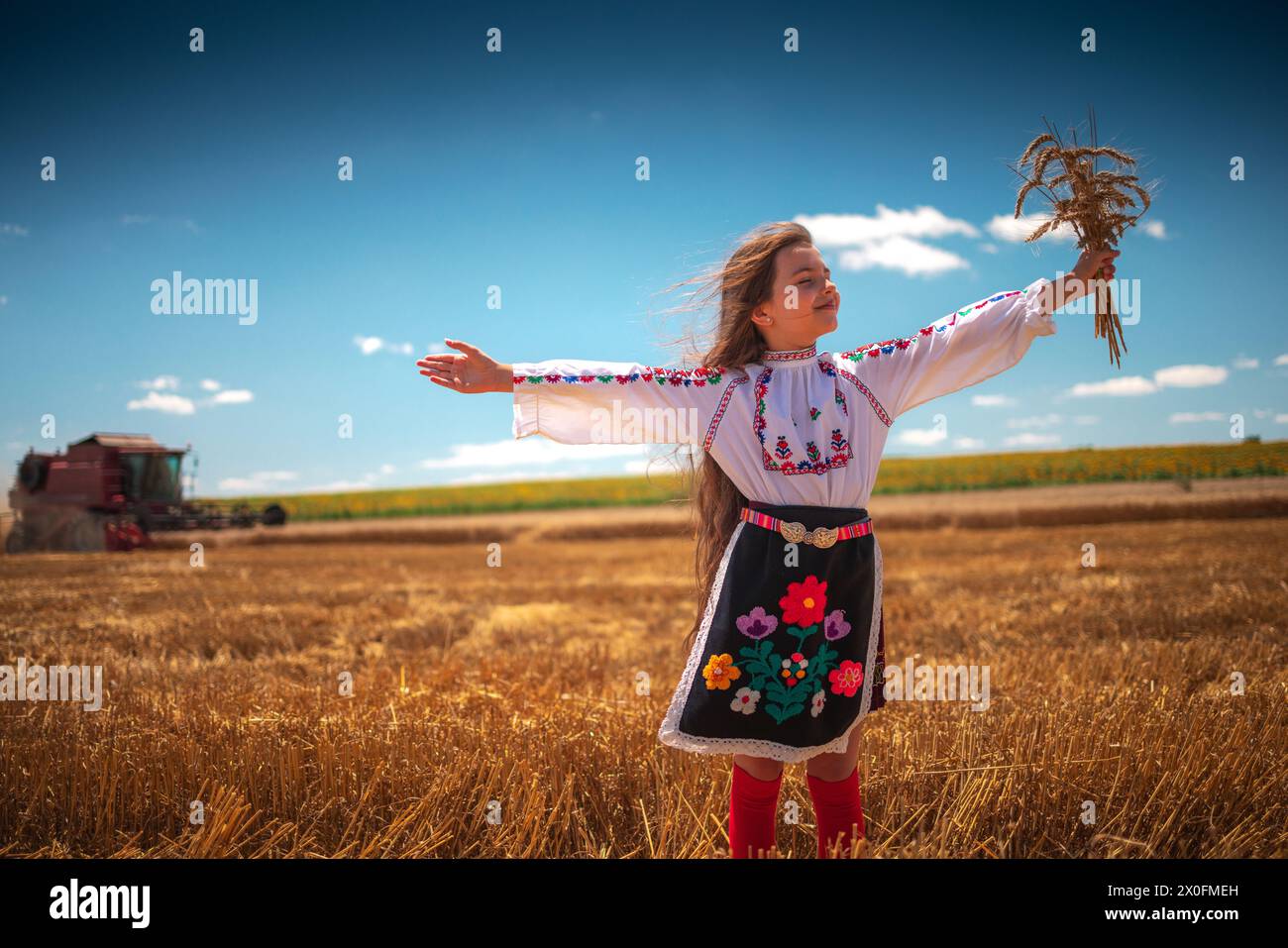 Costume de broderie folklore de vêtements bulgares dans le champ de blé agricole pendant la récolte et la moissonneuse-batteuse Banque D'Images