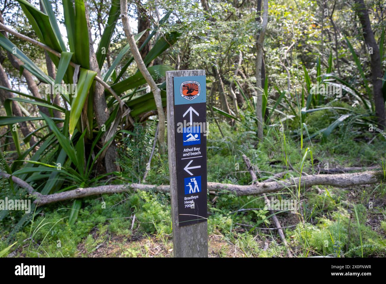 Parc national du port de Sydney, panneau sur le sentier de randonnée Bradleys Head pointant vers la plage et la baie d'Athol, sur la rive nord de Mosman, Sydney, Australie Banque D'Images