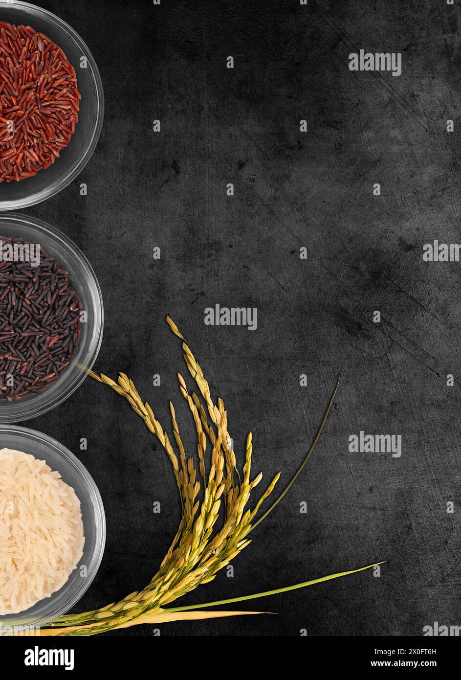 Trois bols transparents présentent différentes variétés de riz - Basmati, Wild et Brown. L'assortiment représente divers grains utilisés dans le Cu international Banque D'Images Trois bols transparents présentent différentes variétés de riz - Basmati, Wild et Brown. L'assortiment représente divers grains utilisés dans le Cu international Banque D'Images