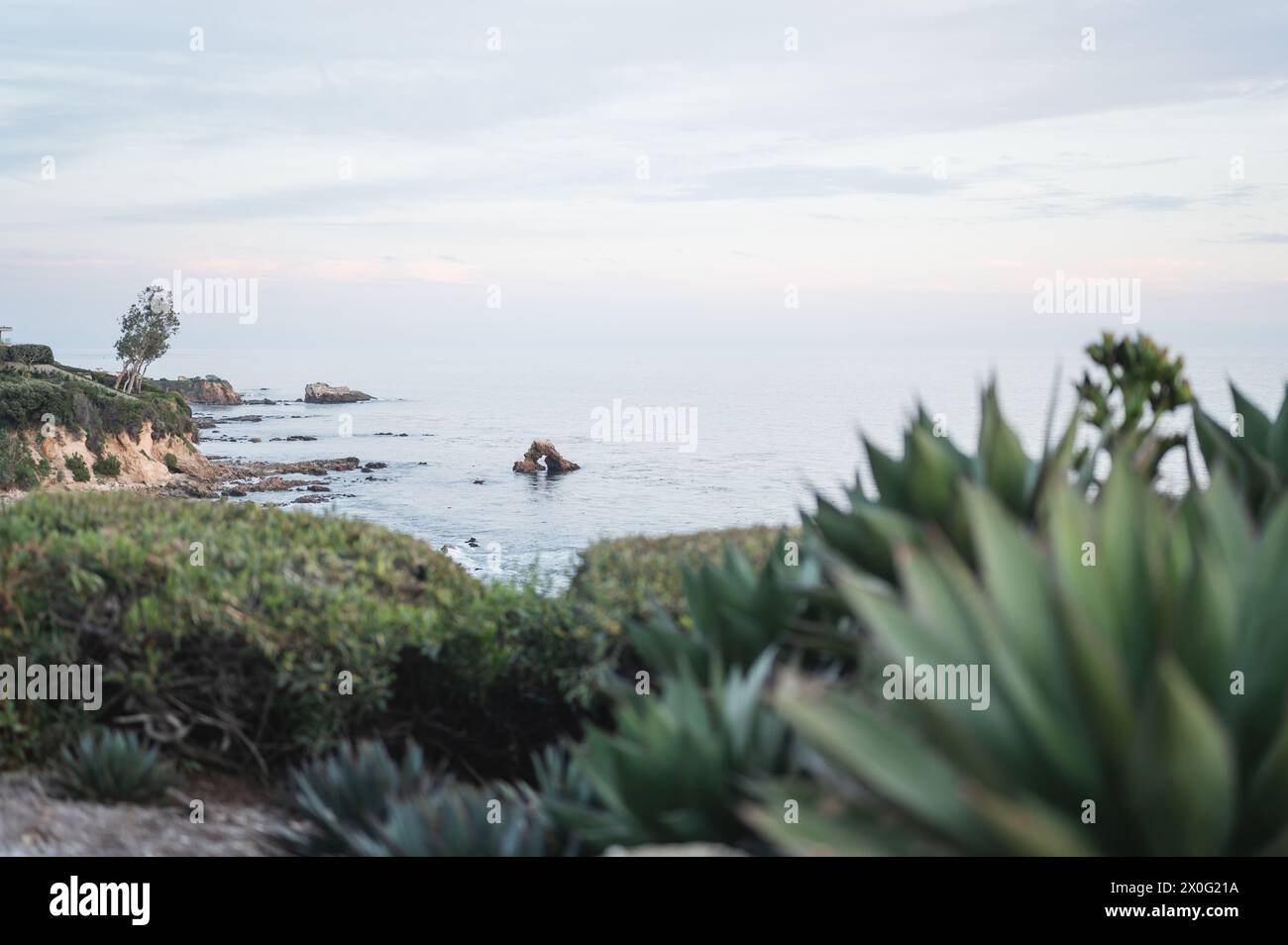 Little Corona del Mar Beach à Newport Beach, Californie Banque D'Images Little Corona del Mar Beach à Newport Beach, Californie Banque D'Images