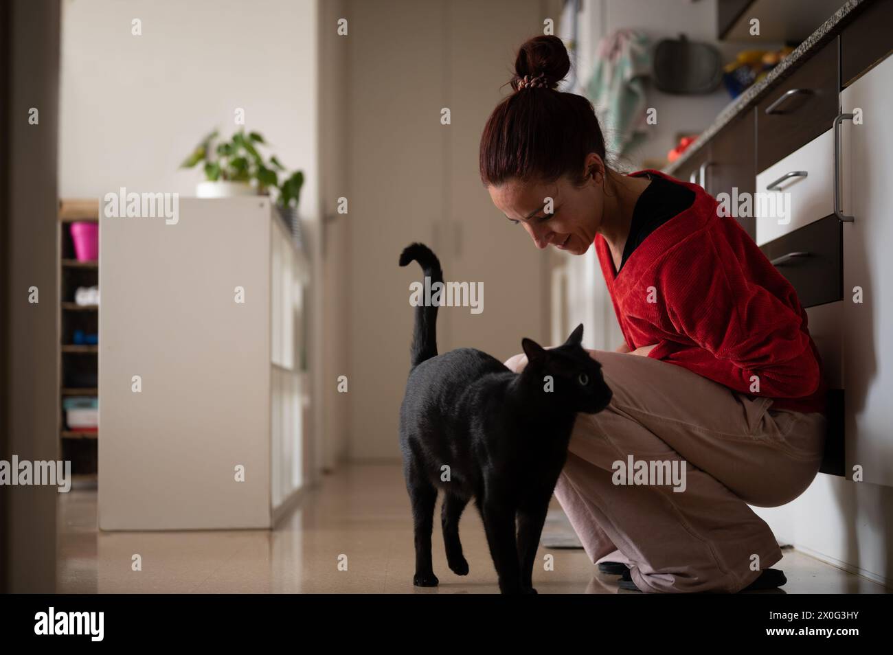 Femme avec chat noir dans la cuisine à la maison Banque D'Images