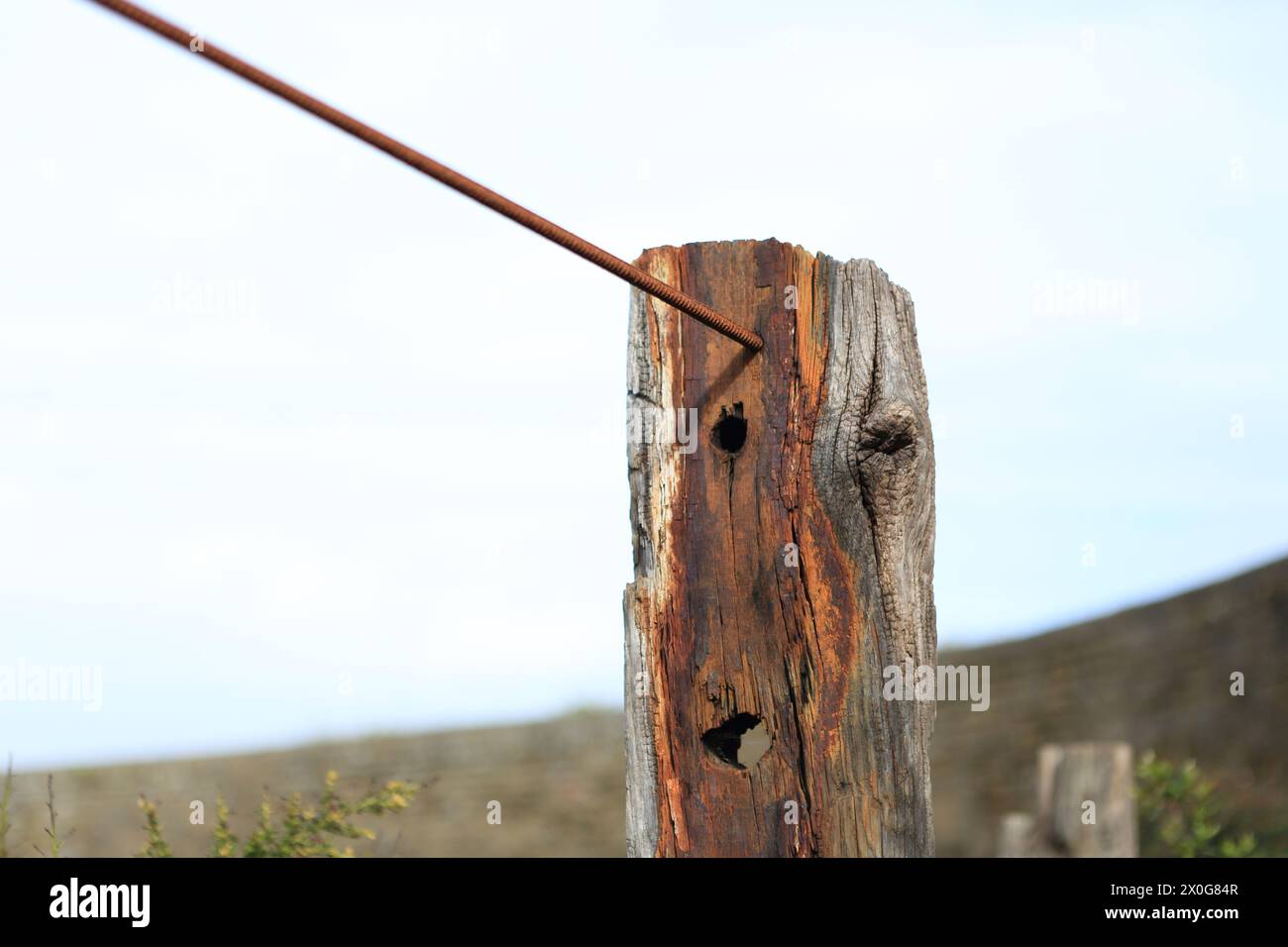 Poteau en bois vieilli supportant des barres d'armature métalliques formant clôture Banque D'Images