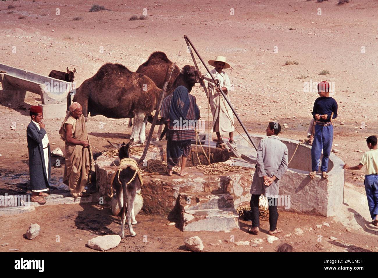 Les hommes et les femmes de tirer de l'eau d'un puits dans le désert pour se nourrir eux-mêmes et leurs animaux. Banque D'Images