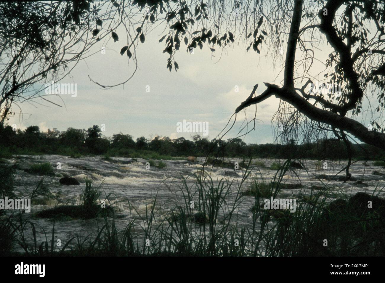 Rapides de la rivière Zambèze au-dessus de la cataracte du Diable près des chutes Victoria. [traduction automatique] Banque D'Images