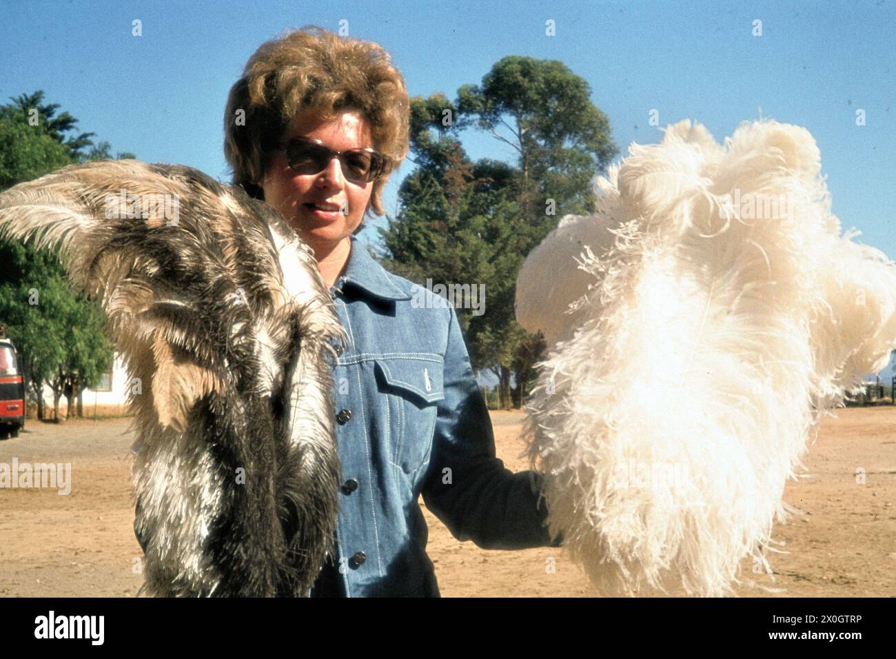 Une femme portant des lunettes de soleil tient des plumes d'autruche blanches (mâles) et brunes (femelles) sur une ferme d'autruche à Oudtshoorn. [traduction automatique] Banque D'Images