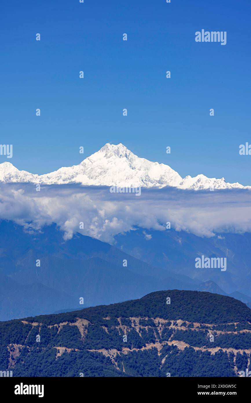 Mont Kangchenjunga, Zuluk, East Sikkim, réserve naturelle de Pangolakha, Inde Banque D'Images