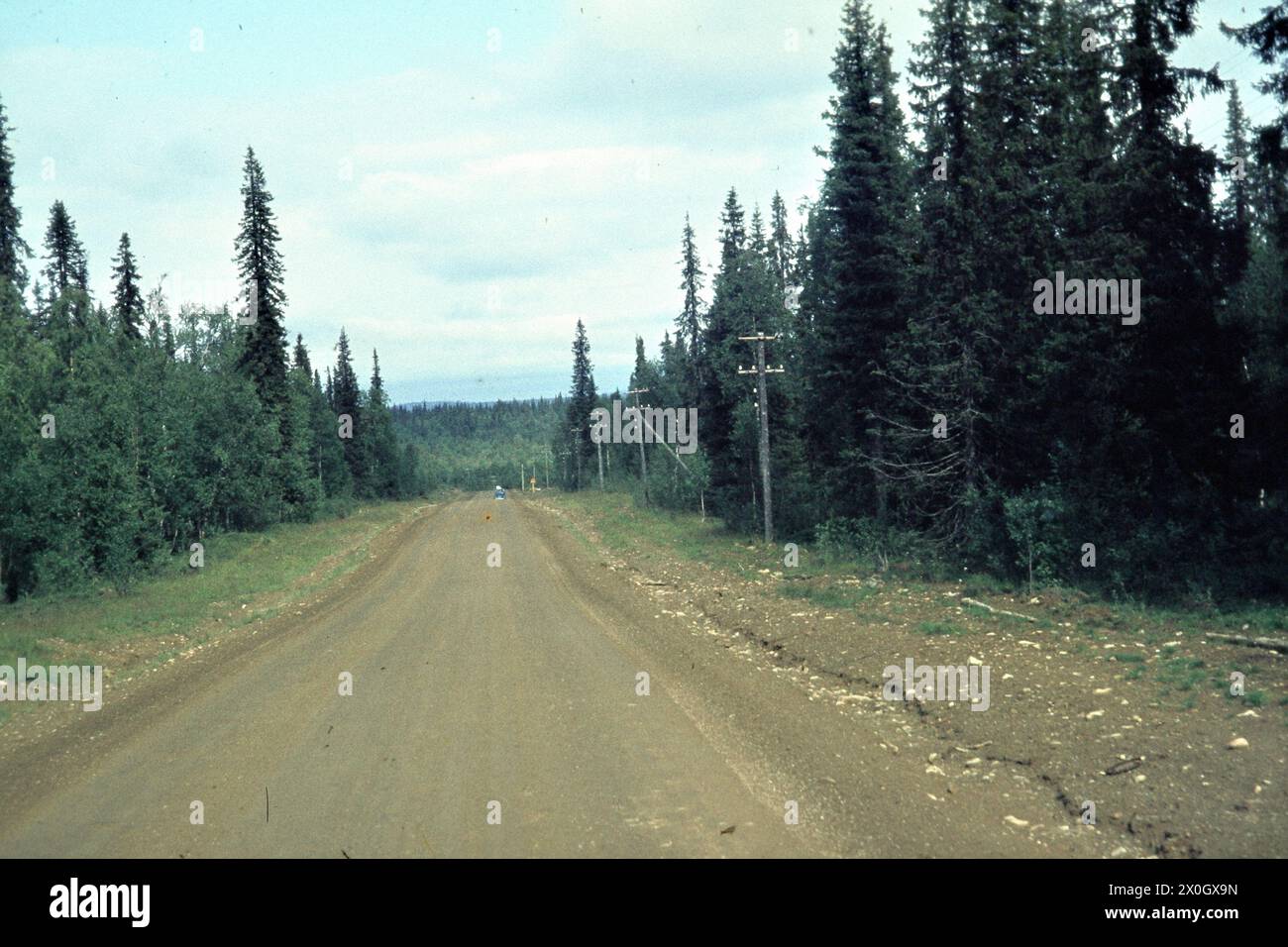 La route de l'océan Arctique, qui traverse une forêt à environ 56 km au sud d'Ivalo. [traduction automatique] Banque D'Images