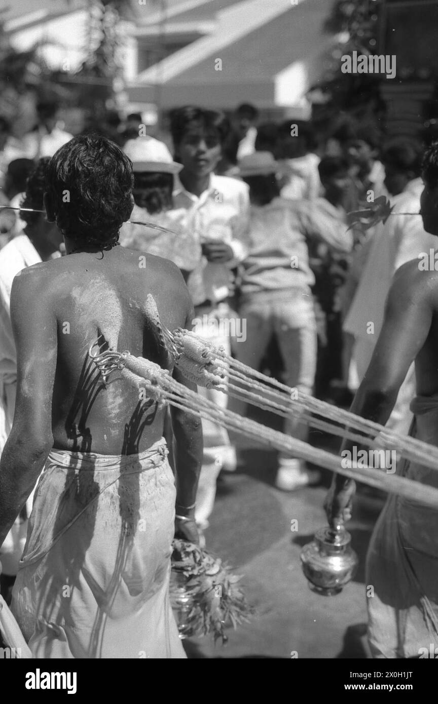 Les dévots se dévorant avec des crochets sur des cordes attachées à leur dos au festival indien Thaipusam à Penang. Banque D'Images