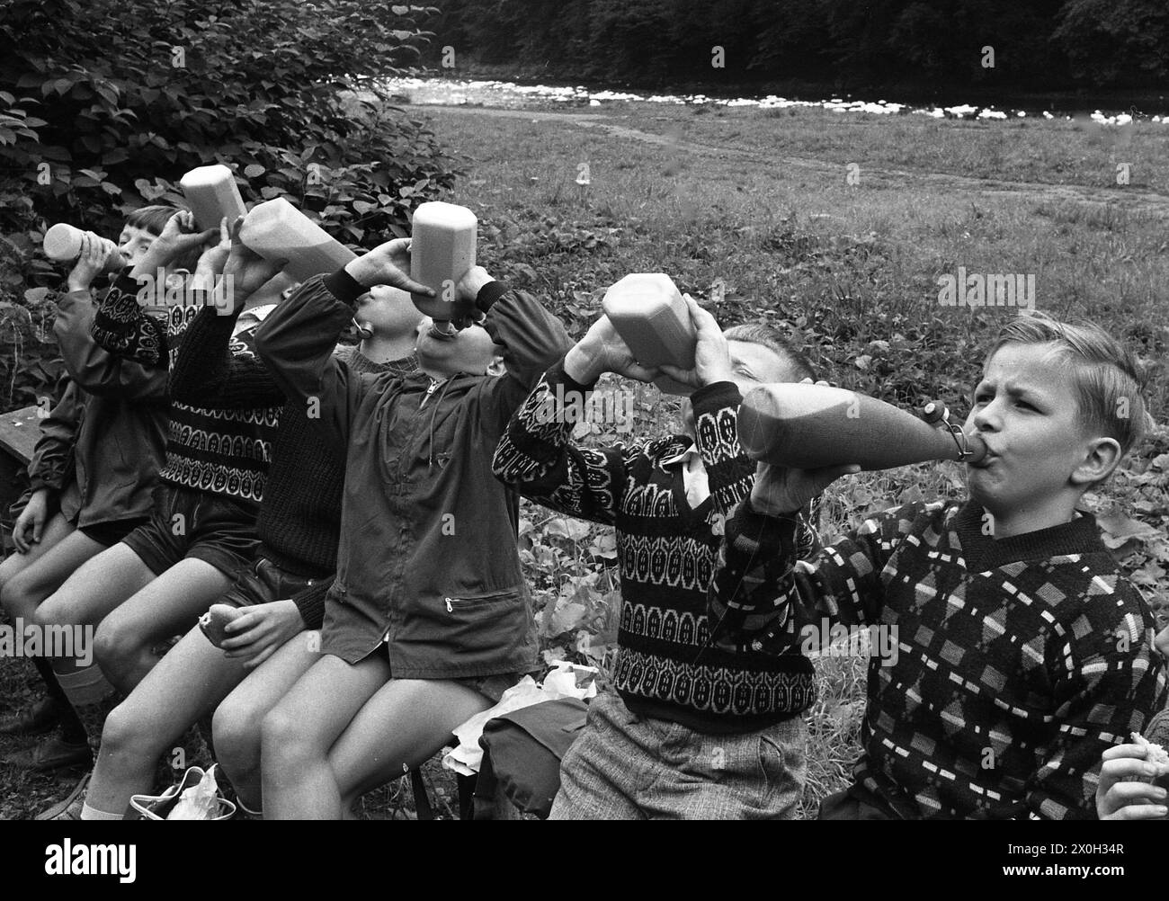 Les enfants se détendent au centre de loisirs de la ville. Sur la photo, les garçons sont assis sur un tronc d'arbre et rivalisent pour boire un verre. [traduction automatique] Banque D'Images