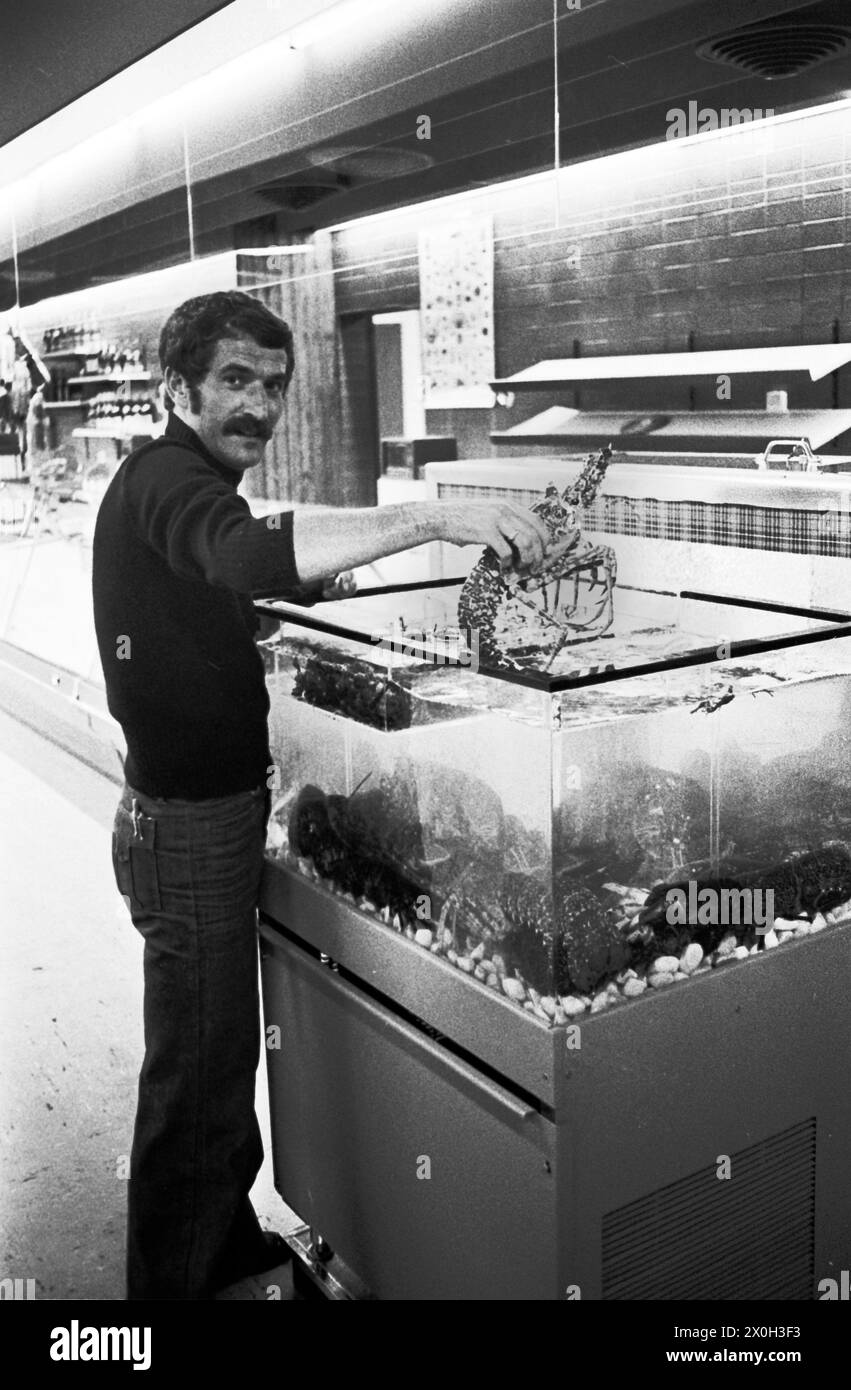 Nouvelle offre de supermarché : vente de spécialités de poisson [traduction automatisée] Banque D'Images