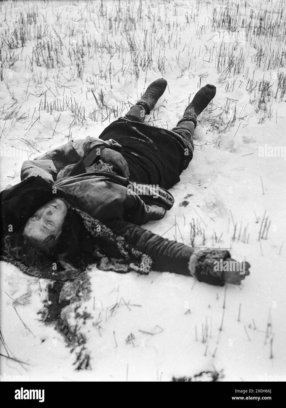 Un russe abattu est couché dans la neige dans un champ récolté. Photo non datée. [traduction automatique] Banque D'Images