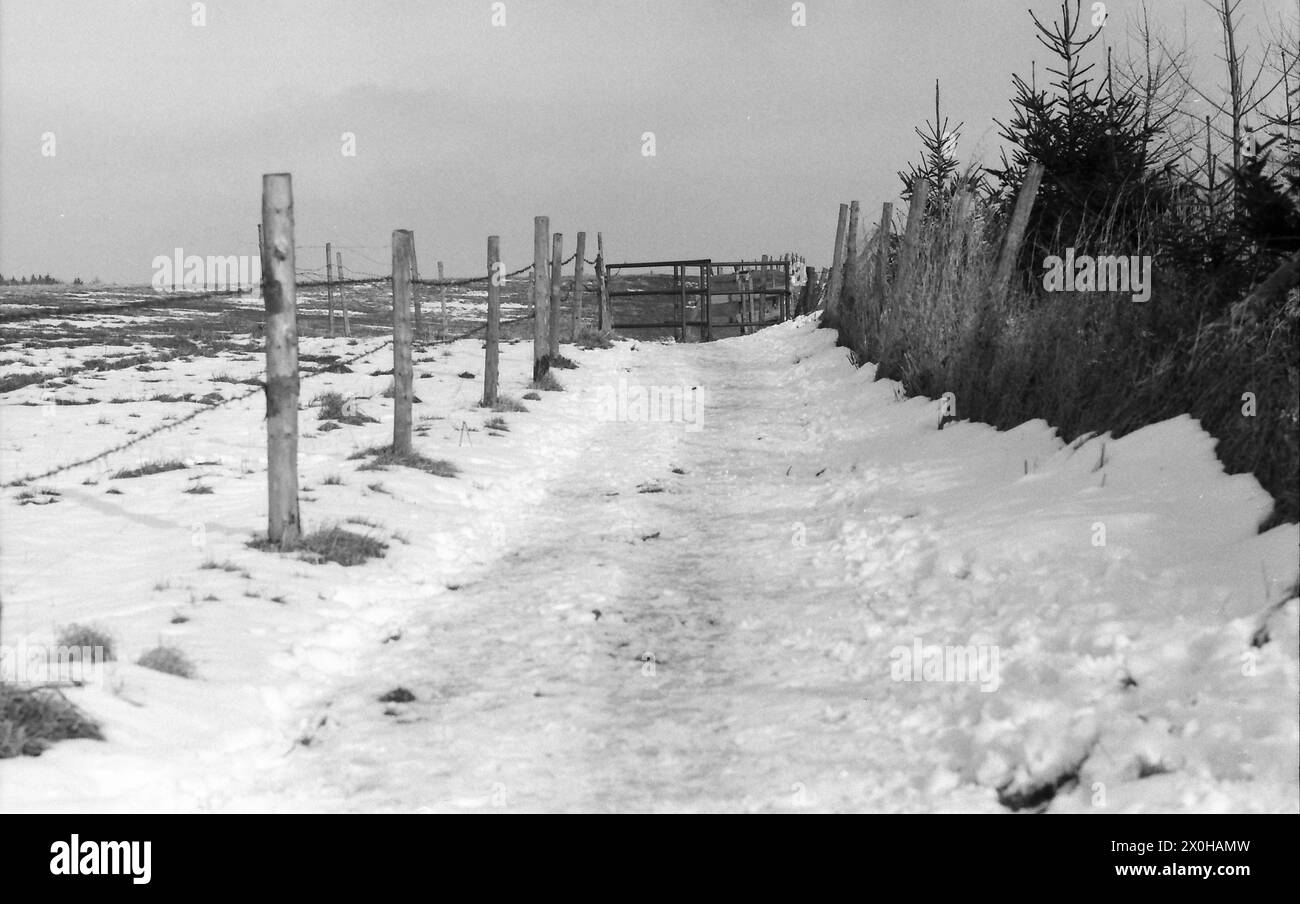 Noël blanc dans la région du Starnbergersee, hiver, randonnée, neige [traduction automatique] Banque D'Images