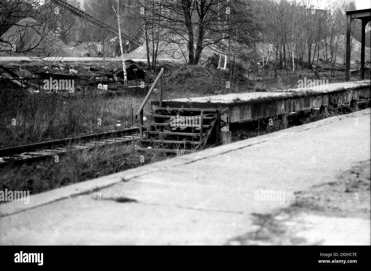En 1982, les terrains envahis par la végétation de la Potsdamer Güterbahnhof (gare de marchandises de Potsdam) révèlent à peine qu'un parc public s'étendra de Potsdamer Platz presque jusqu'à Südkreuz en 2015. Banque D'Images