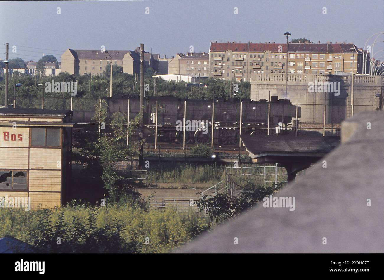 La photo a été prise en 1977 de Berlin Ouest en direction de Berlin est à la gare de Bornholmerstraße, dont la plate-forme et la boîte de signalisation délabrée peuvent juste être distinguées entre la verdure. Comme la frontière passe juste au milieu du grand distributeur de ligne jusqu'au chemin de fer du Nord, la RD a déplacé un certain nombre de voies sur le territoire de Berlin-est afin que les trains n'aient pas à passer par Berlin-Ouest. La clôture de bordure longe la ligne de bordure réelle. Le mur lui-même est invisible dans l'arrière-pays. [traduction automatique] Banque D'Images