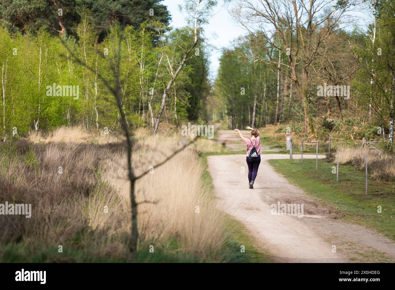 Femme dansant sur un sentier pédestre dans la réserve naturelle aux pays-Bas au printemps Banque D'Images