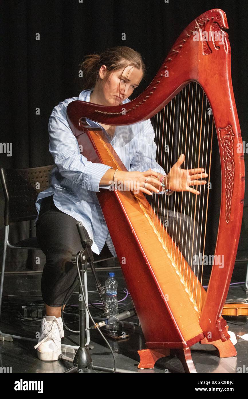 harpe irlandaise Banque D'Images
