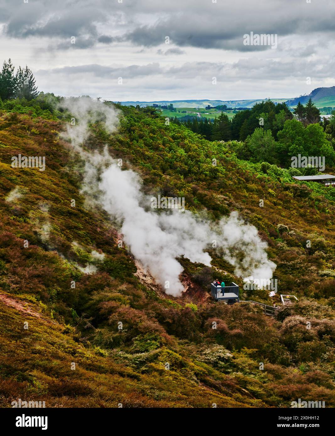 Paysage du parc géothermique Orakei Korako, Taupo, Île du Nord, Nouvelle-Zélande Banque D'Images