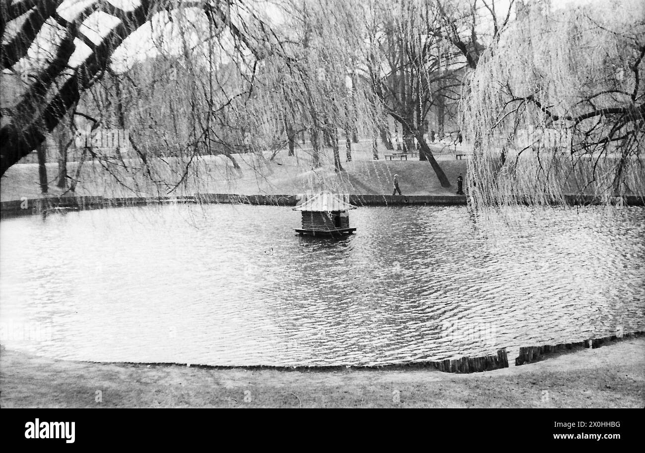 La photo montre un petit étang dans le couloir vert entre Kreuzpfuhl et Weissensee [traduction automatique] Banque D'Images