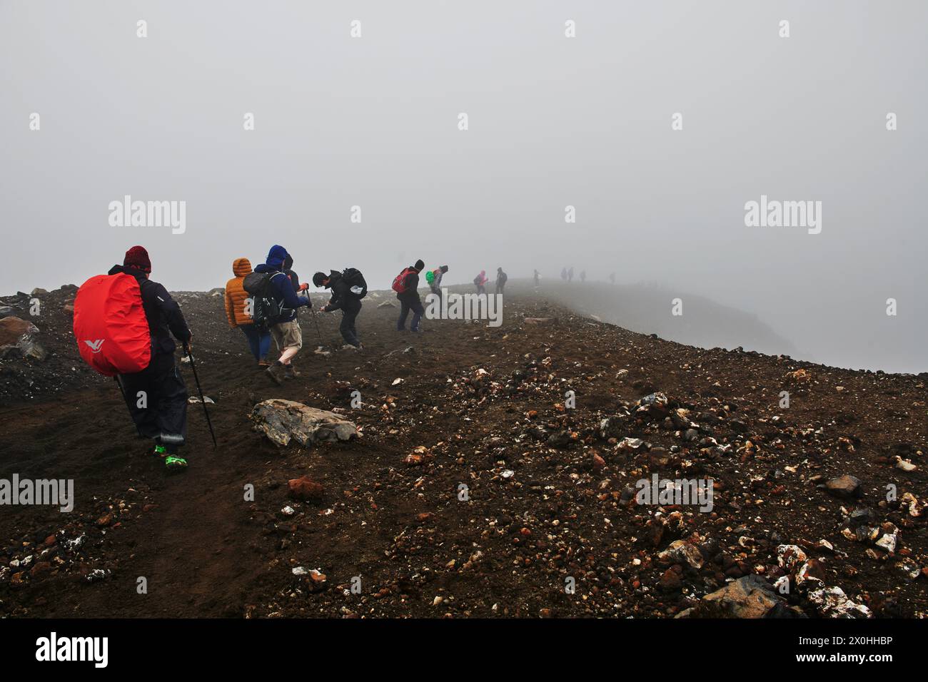 Ligne de randonneurs dans le brouillard le long du sentier Tongariro Alpine Crossing, Tongariro National Park, North Island, Nouvelle-Zélande Banque D'Images