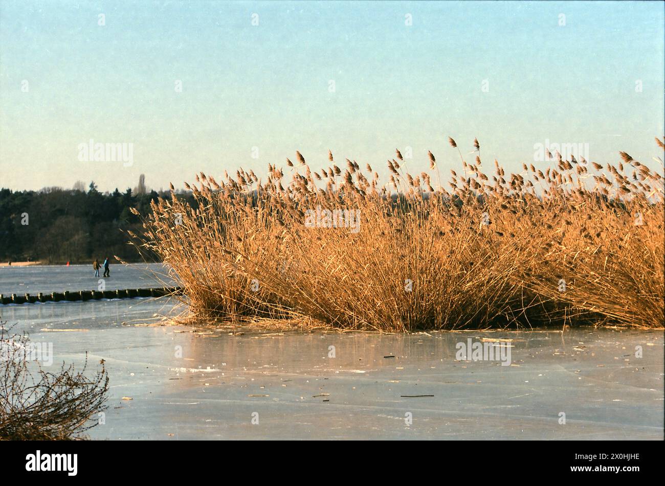 Le Wannsee est un grand renflement dans la Havel et gèle rarement. En 1996, il l'a fait à nouveau [traduction automatique] Banque D'Images