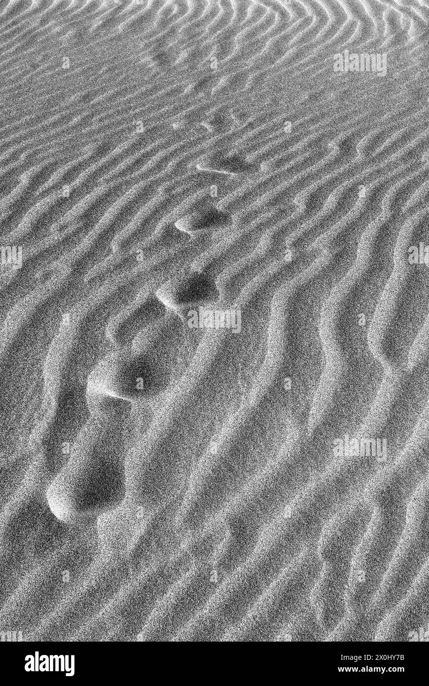 Formations de sable à marée basse sur la Grande Côte avant la barre de Monts. [traduction automatique] Banque D'Images