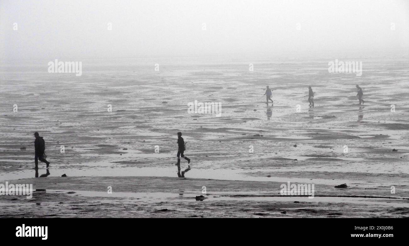 Plusieurs chasseurs de mollusques traversent les vasières du passage du Gois en France. Ils portent des bottes en caoutchouc et des vestes de pluie. C'est très brumeux. [traduction automatique] Banque D'Images