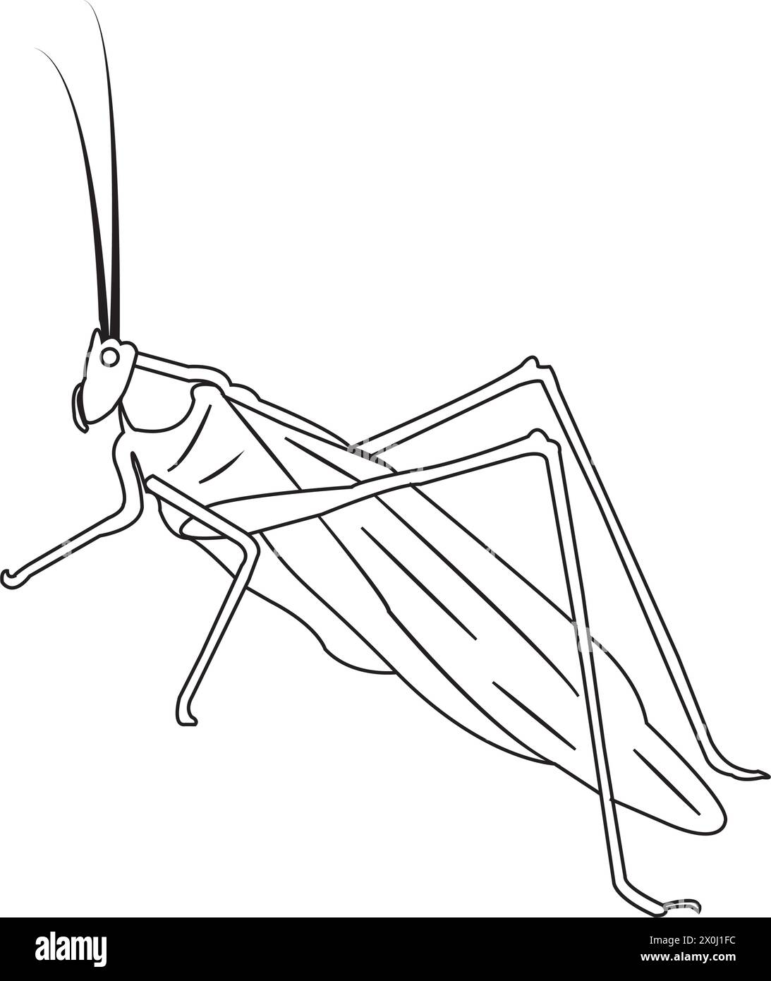 illustration vectorielle d'icône de sauterelle conception simple Illustration de Vecteur